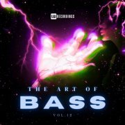 VA - The Art Of Bass, Vol. 12 (2024) FLAC