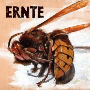 Ernte - Ernte (2024) [Hi-Res]
