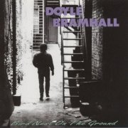 Doyle Bramhall II - Bird Nest on the Ground (1994)