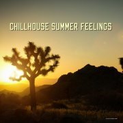 Chillhouse Summer Feelings (2014)