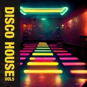 VA - Disco House Vol 5 (2024)