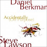 Steve Lawson & Daniel Berkman - Accidentally (On Purpose) (2013) [Hi-Res]