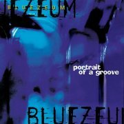 Bluezeum - Portrait Of A Groove (1996)