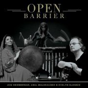 Jon Hemmersam - Open Barrier (2021)