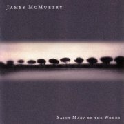 James McMurtry - Saint Mary of the Woods (2002)