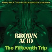 VA - Brown Acid: The Fifteenth Trip (Heavy Rock From The Underground Comedown) (2022)