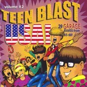 Various Artist - Teen Blast USA! Volume 2 (29 Garage Raves From 65-68!) (2003)