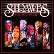 Strawbs - Live in Concert (2020)