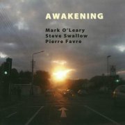 Mark O'Leary, Steve Swallow, Pierre Favre - Awakening (2006)