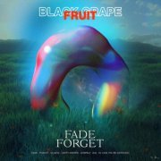 Black Grapefruit - Fade Forget (2019) flac