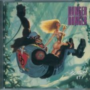 Danger Danger - Screw It! (1991)