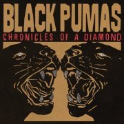 Black Pumas - Chronicles of a Diamond (2023) [Hi-Res]