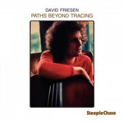 David Friesen - Paths Beyond Tracing (1997) FLAC