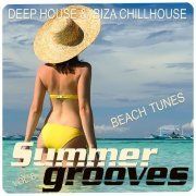 VA - Summer Grooves, Vol. 8 (Deep House & Ibiza Chillhouse Beach Tunes) (2023)