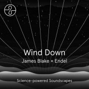James Blake - Wind Down (2022) [Hi-Res]