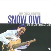 Snow Owl - Art of Contrabass Guitar (2010)