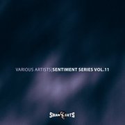 VA - Sentiment Series Vol.11 (2024)