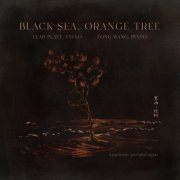 Leah Plave, Tong Wang - Black Sea, Orange Tree (2024) [Hi-Res]