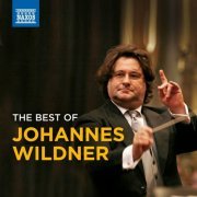 Johannes Wildner - The Best of Johannes Wildner (2024)