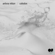 Anthony Wilson - Collodion (2023)