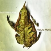 Dave Newhouse - Natura Morta (2024) {Limited Edition} CD-Rip
