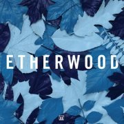 Etherwood - Blue Leaves (2015) [Hi-Res]