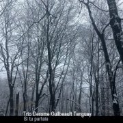 Trio Derome Guilbeault Tanguay - Si tu partais (2023) [Hi-Res]