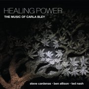 Steve Cardenas, Ben Allison & Ted Nash - Healing Power: The Music of Carla Bley (2022) [Hi-Res]