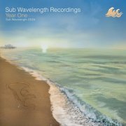 VA - Sub Wavelength Recordings – Year One (2024)
