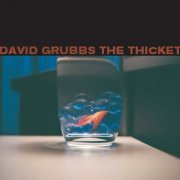 David Grubbs - The Thicket (1998)