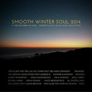 Smooth Winter Soul 2014 - Tgee Records Nu Soul, Smooth Jazz & Slow Jams Collection (2014)