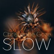 Christophe Goze - Slow (2022)