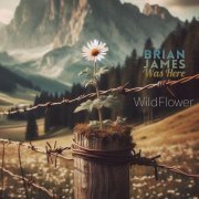 Brian James Was Here - Wildflower (2024) [Hi-Res]