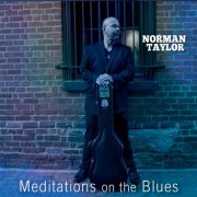 Norman Taylor - Meditations on the Blues (2020)