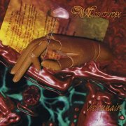 Misanthrope - Visionnaire (25th Anniversary Edition) (2024) Hi-Res