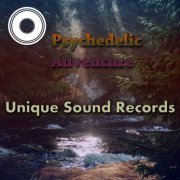 Various Artists - Psychedelic Adventure 1 (2016) FLAC