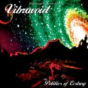 Vibravoid - The Politics of Ecstasy (2013)