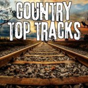 VA - Country Top Tracks (2024)