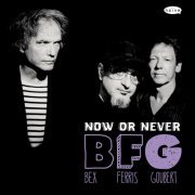 Emmanuel Bex - BFG: Now or Never (2013) [Hi-Res]