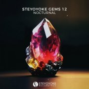 VA - Steyoyoke Gems Nocturnal 12 (2023)