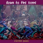 Down To The Bone - Cellar Funk (2004) [Hi-Res]