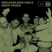 Miraculous Mule - Deep Fried (2017) Hi-Res