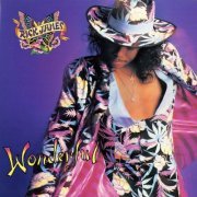 Rick James - Wonderful (2014) [Hi-Res 192/24]