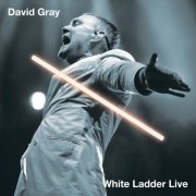 David Gray - White Ladder Live (2023) Hi Res