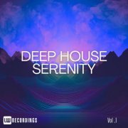 VA - Deep House Serenity, Vol. 01 (2024) FLAC