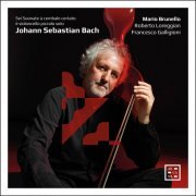 Mario Brunello, Roberto Loreggian, Francesco Galligioni - Bach: Sei suonate à cembalo certato è violoncello piccolo solo (2021) [Hi-Res]