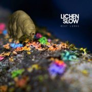 Lichen Slow (Malcolm Middleton & Joel Harries) - Rest Lurks (2023) [Hi-Res]