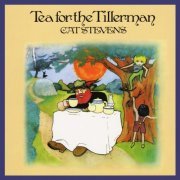 Cat Stevens - Tea For The Tillerman (2015) [DSD128]