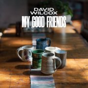 David Wilcox - My Good Friends (2023) Hi Res