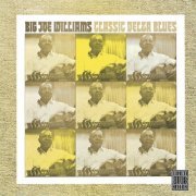 Big Joe Williams - Classic Delta Blues (1966)